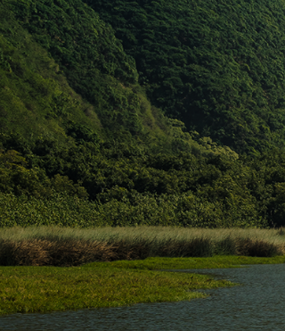 landscape of mountains with greenery and a river