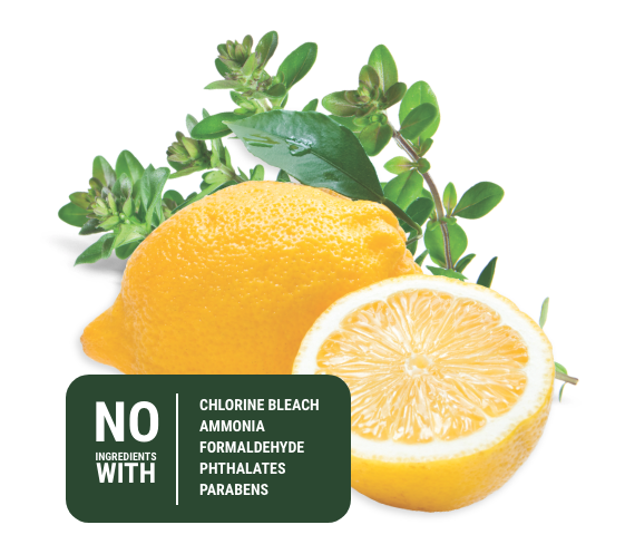 lemons and ingredient info