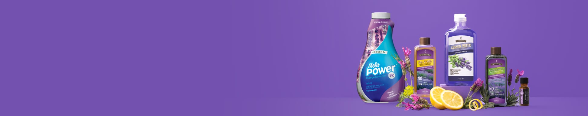Conjunto para amantes de la lavanda