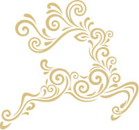 Ornate golden filigree flourish with curling vines, spirals, and leaf-like accents sweeping across a black background; elegant, decorative tone.