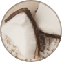 Image Alt Text