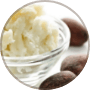 Image Alt Text