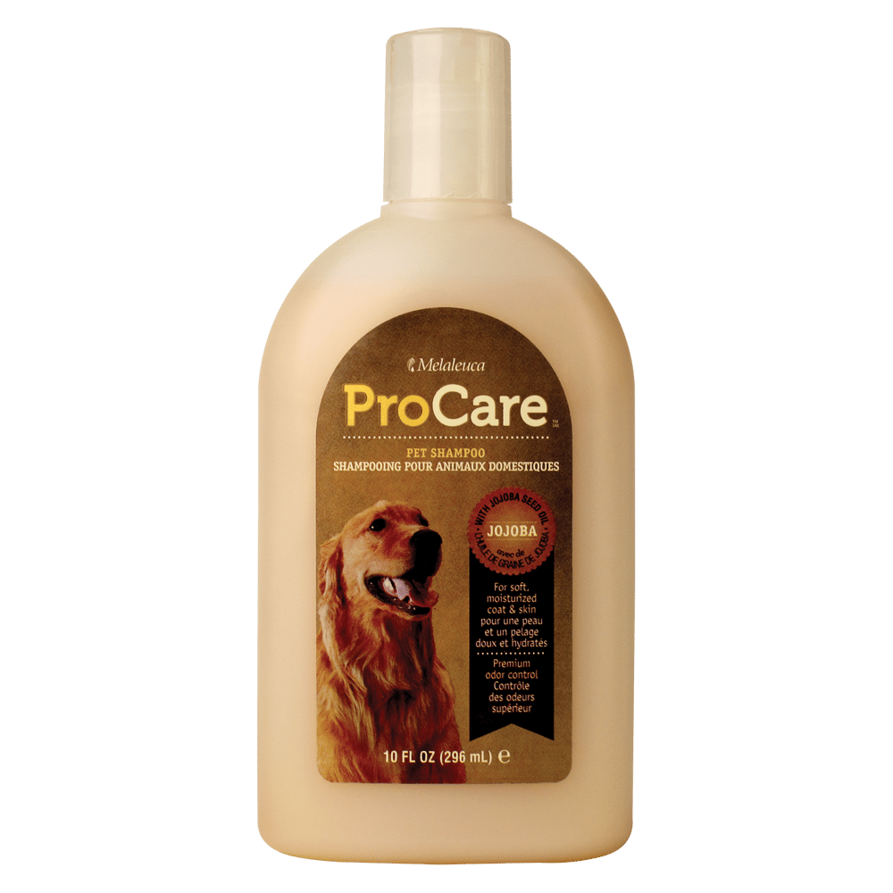 Procare Pet Shampoo