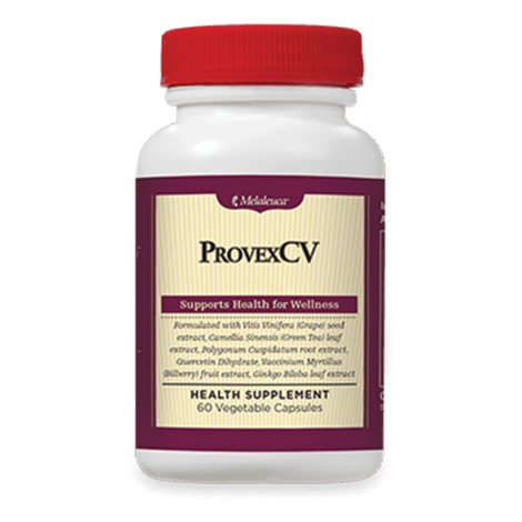 ProvexCV