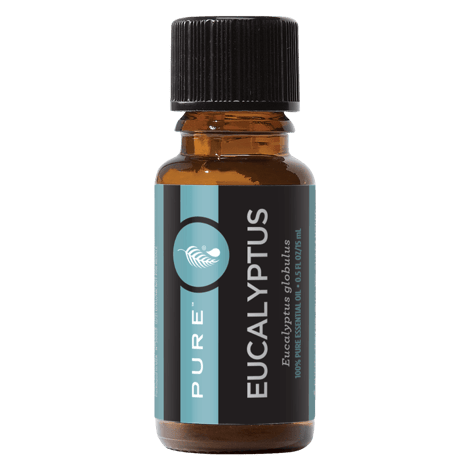 Oil of the Month: PURE Eucalyptus Essential Oil  