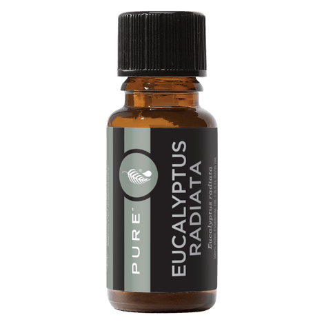 Pure™ Eucalyptus Radiata Essential Oil