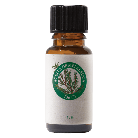  Aceite del mes: Aceite de Melaleuca T36-C5