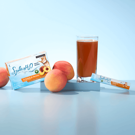 SplasH2O® en porciones individuales: té helado de durazno