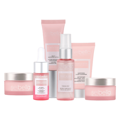 Honey and Rose Travel Size Skin Care Collection