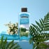 Limpiador de vidrios Clear Power® 12x