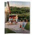 Melaleuca Country Catalog 2025