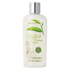 Sun Valley® Shea Butter Body Lotion: White Tea & Ginger (Pump sold separately)