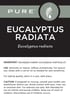 Pure Eucalyptus Radiata Essential Oil