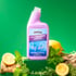 Safe & Mighty™ Toilet Bowl Cleaner