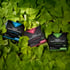 Paquete de nutrición PeakPerformance