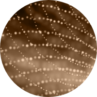 Argan Oil