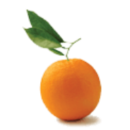an orange with a green leaf