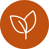 Leaf Icon