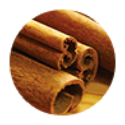 cinnamo--2x