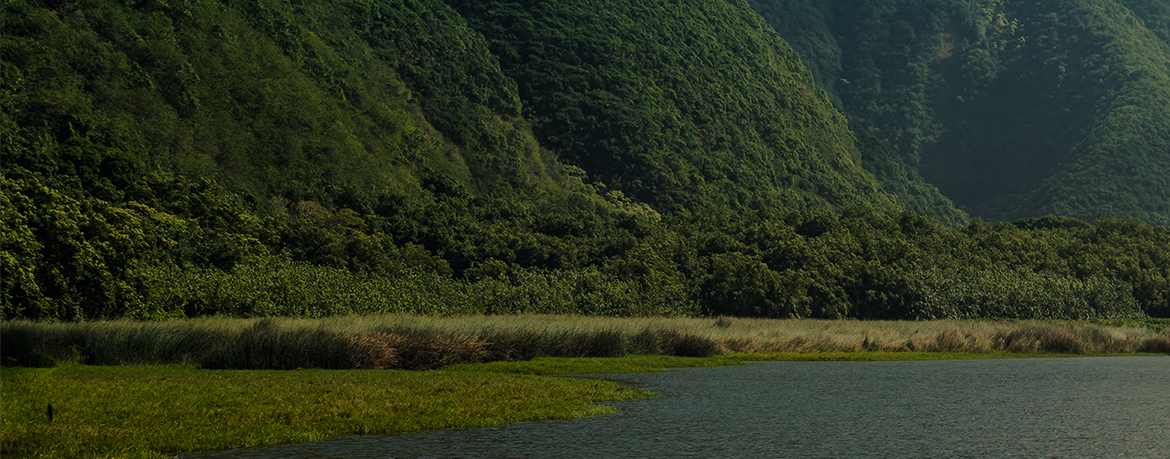 landscape of mountains with greenery and a river