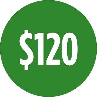 $120