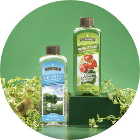 Melaleuca products