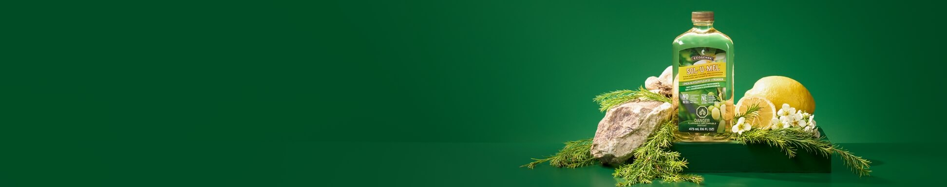 Sol u mel surrounded by pine branches, lemons and white flowers on a green box with a green backdrop