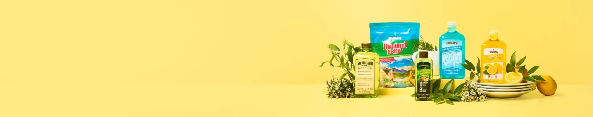 EcoSense Kitchen Pack — an eco-friendly kitchen cleaning collection featuring plant-inspired products, fresh citrus accents, and reusable dishware against a bright, cheerful yellow backdrop.