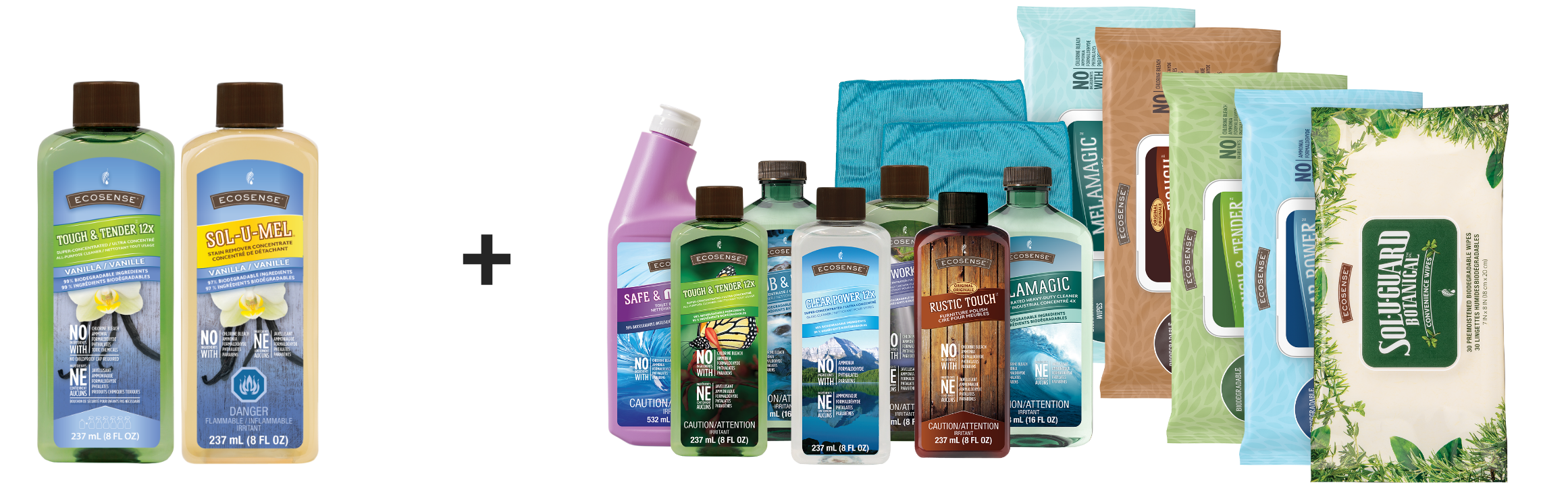 Spring Clean Special Spring Cleaning Specials