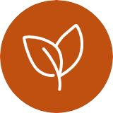 Leaf Icon
