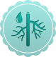 k2d3-vascular-icon--2x